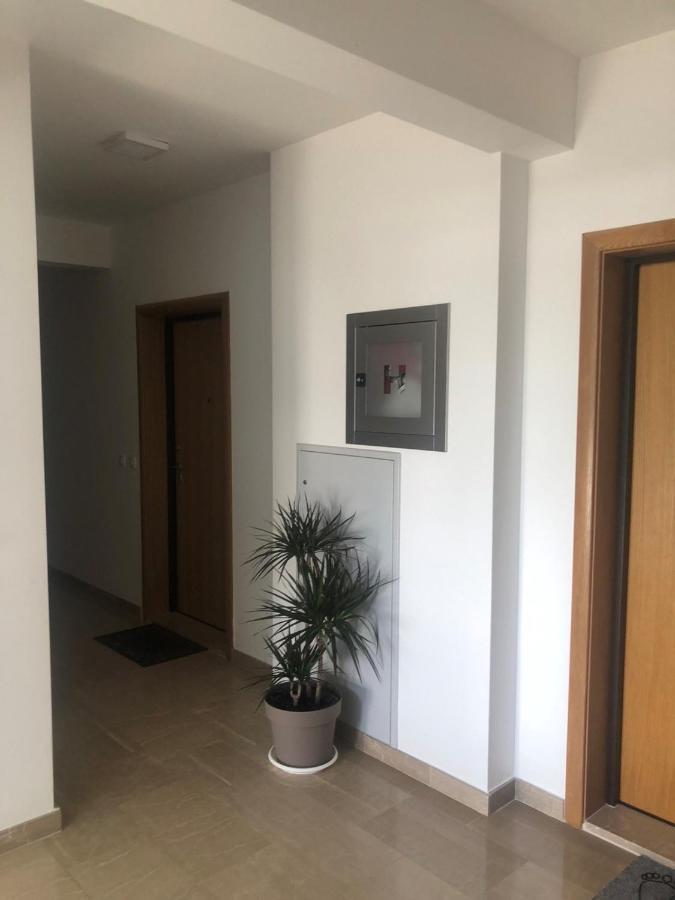 Apartment Lorena *